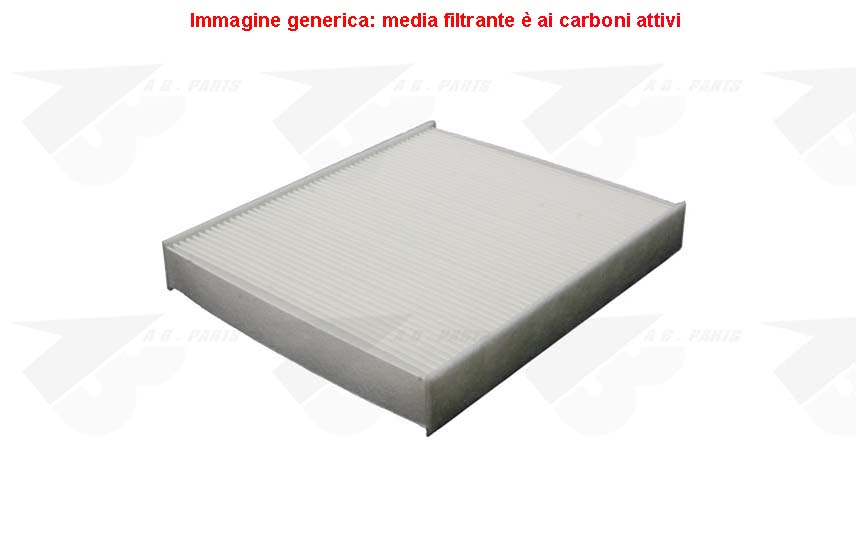 FILTRO Carboni POLO 10>