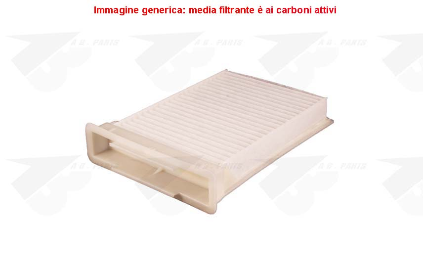 FILTRO Carboni PSA 107 05>
