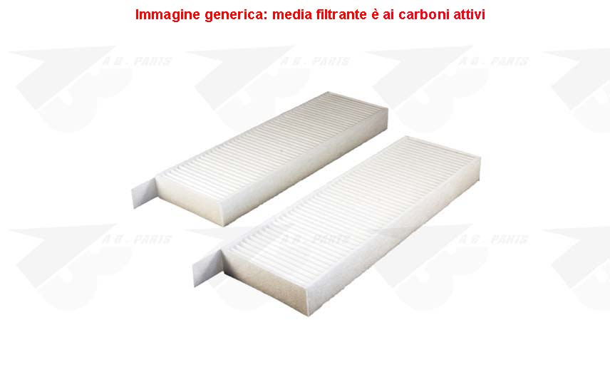FILTRO Carboni PSA C4 06>