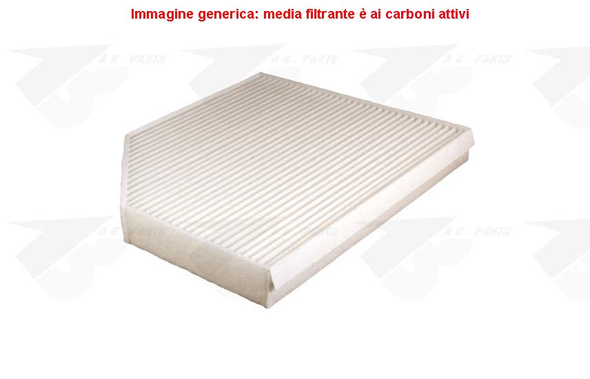 FILTRO Carboni AUDI A5 07>