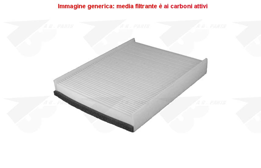 FILTRO Carboni FOCUS 11>