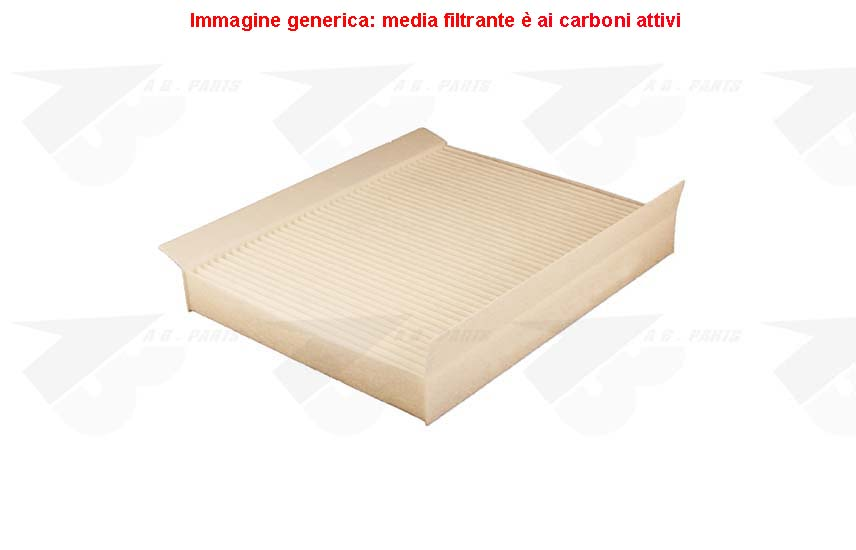 FILTRO Carboni XSARA 00>