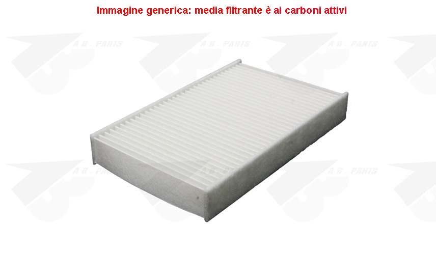 FILTRO Carboni JUKE 10>