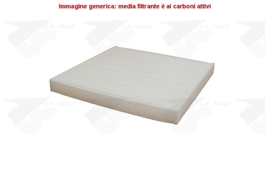 FILTRO Carboni DUCATO 06>