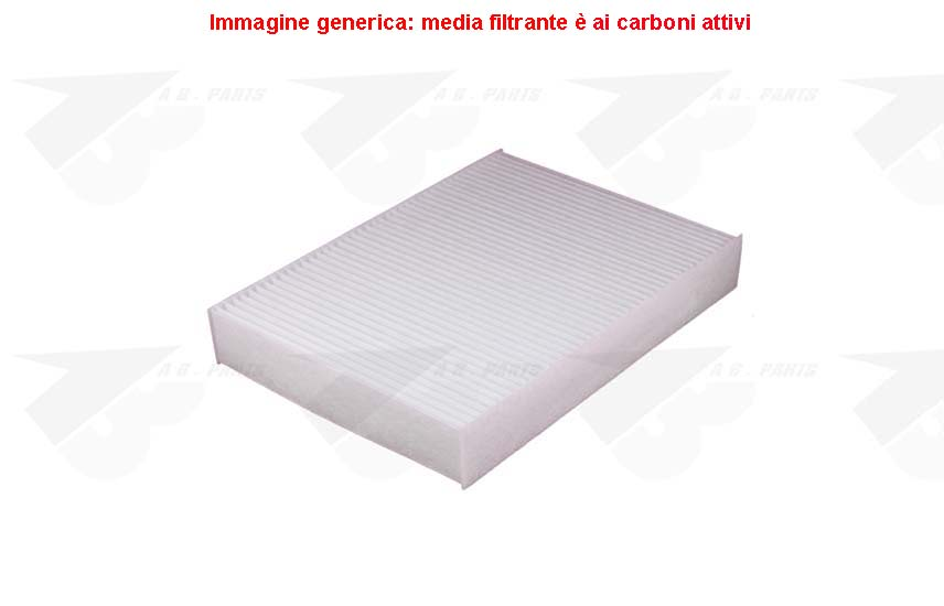 FILTRO Carboni SCENIC 09>