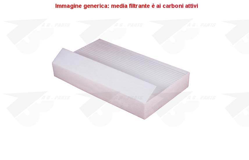 FILTRO Carboni MEGANE 08>