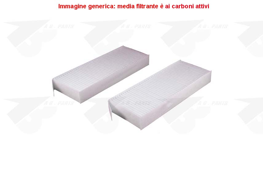 FILTRO Carboni PSA 308 13>