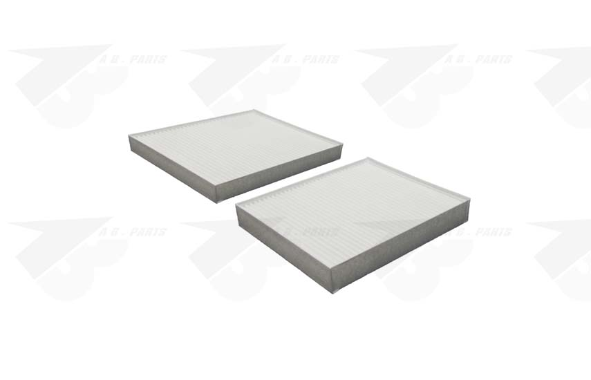 FILTRO Fibra BMW X3 (F25) 11>