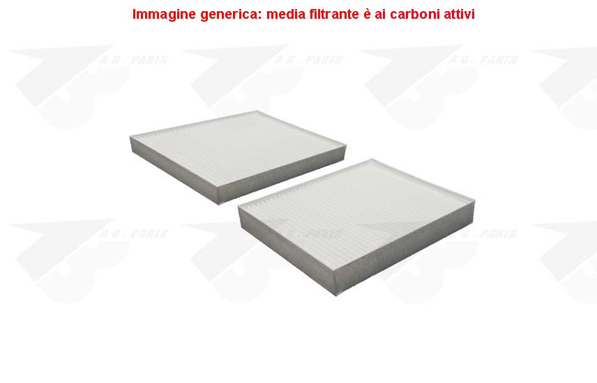 FILTRO Carboni BMW X3 (F25) 11>