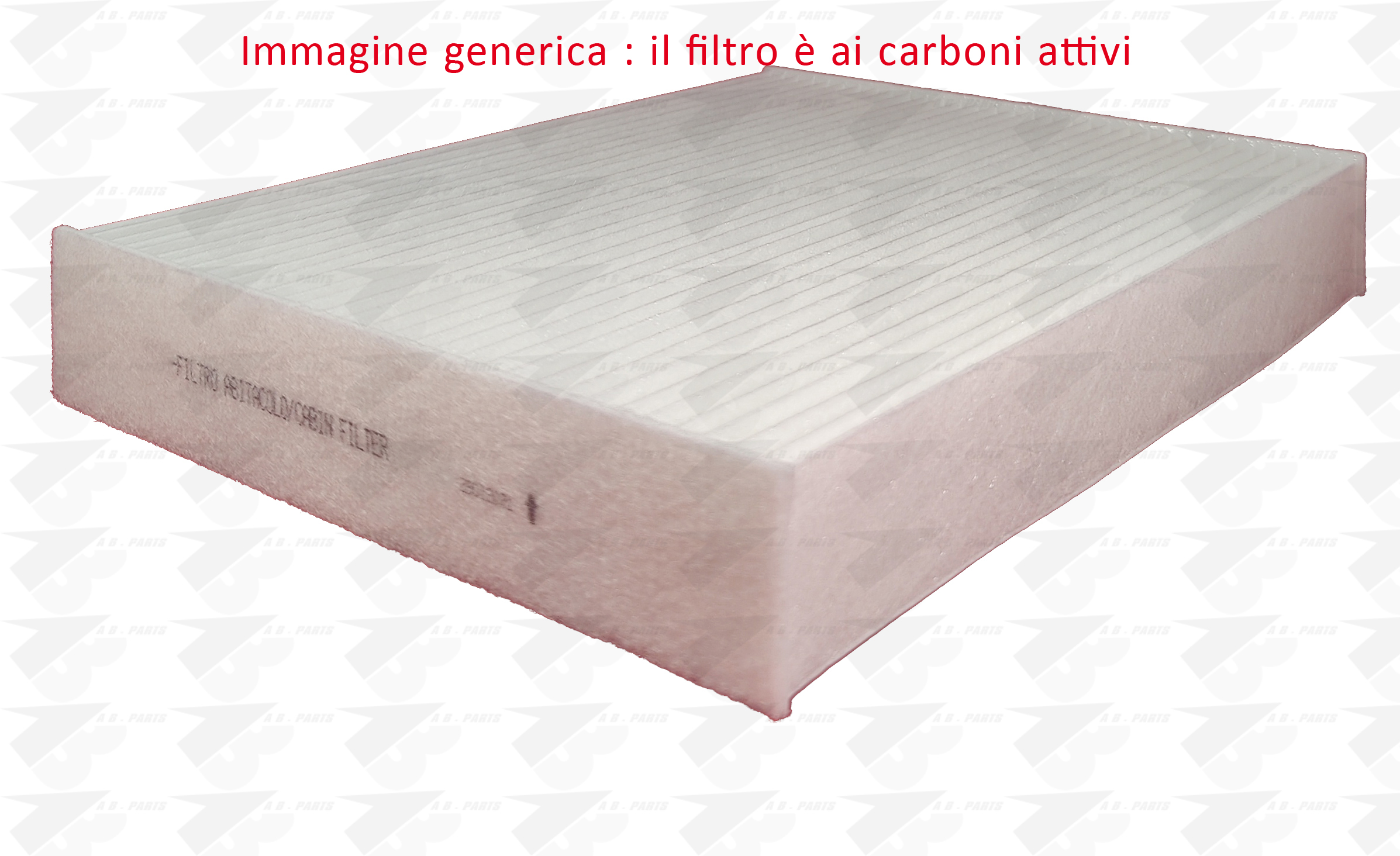 FILTRO Carboni SCENIC 09>