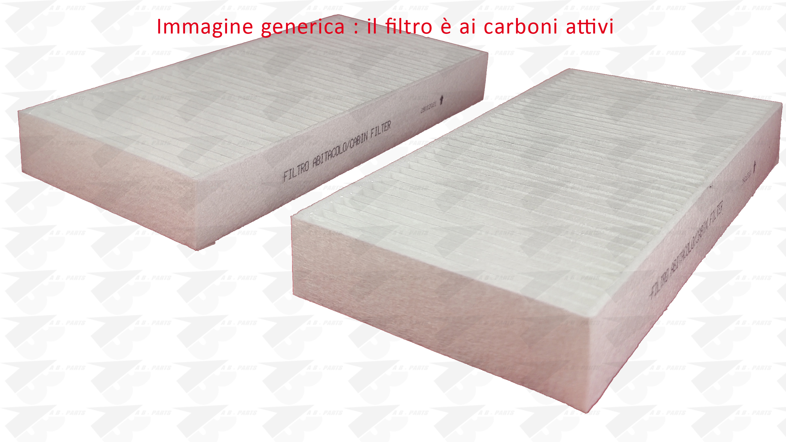FILTRO Carboni BMW X1 (F48) 14>
