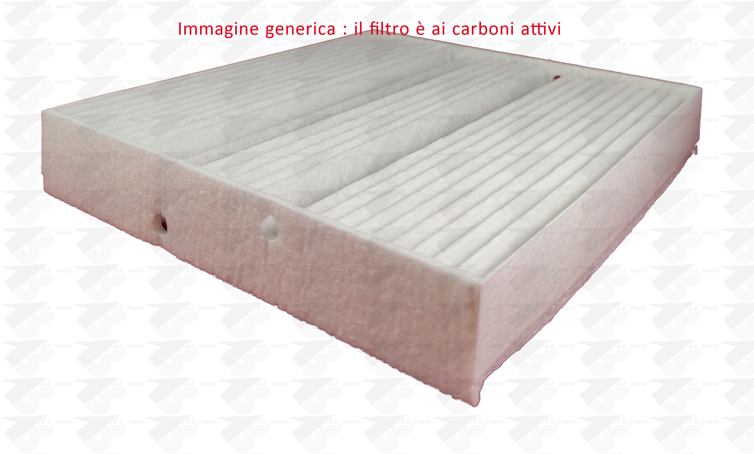 FILTRO Carboni MCD A (W177) 18>