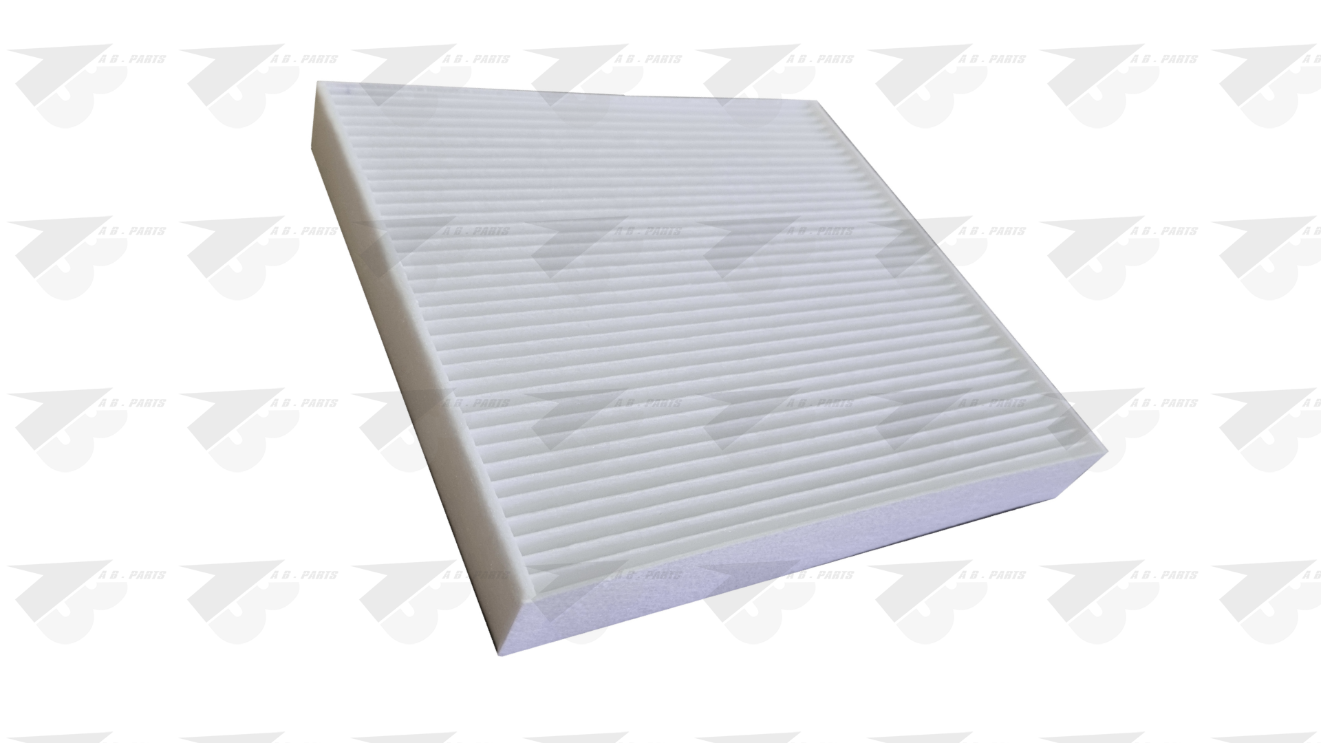 FILTRO Fibra BMW S.2 (U06) 21>