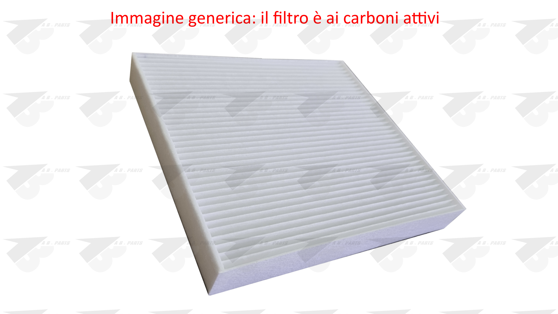 FILTRO Carboni BMW S.2 (U06) 21>