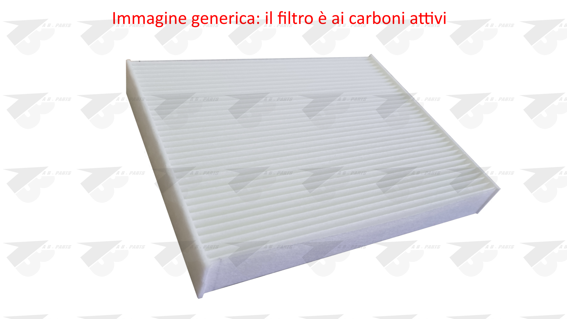 FILTRO Carboni R.ROVER D250 21>