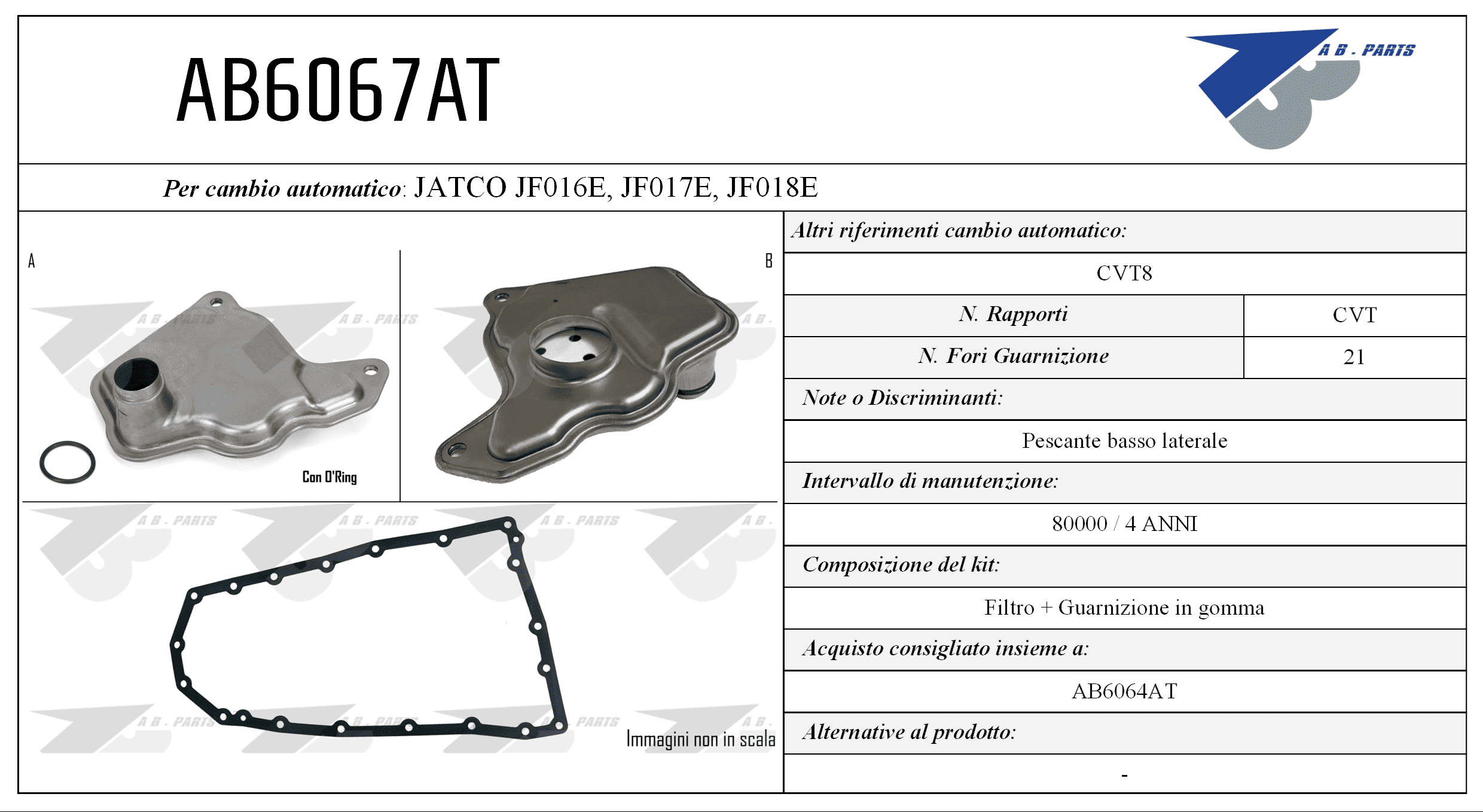 Kit Filtro CAMBIO AUTOMATICO KOLEOS DCi 20>