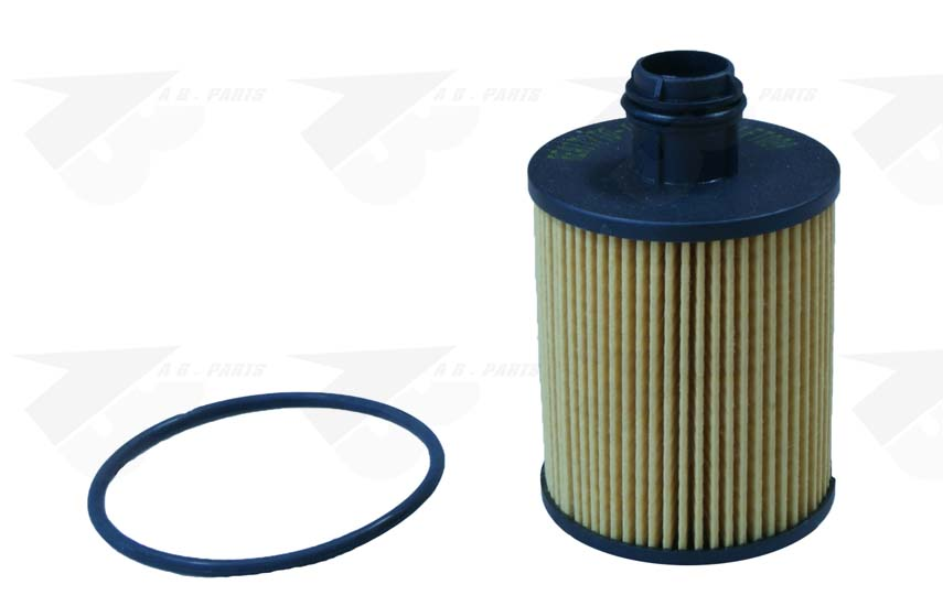 FILTRO Olio PUNTO 1.3Mjet 09>