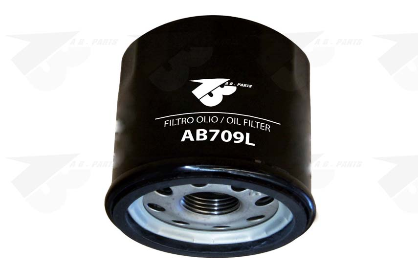 FILTRO Olio CLIO 1.2 05>