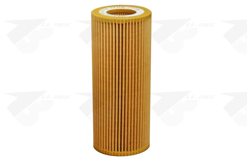 FILTRO Olio BMW S.1 (E81) 07>