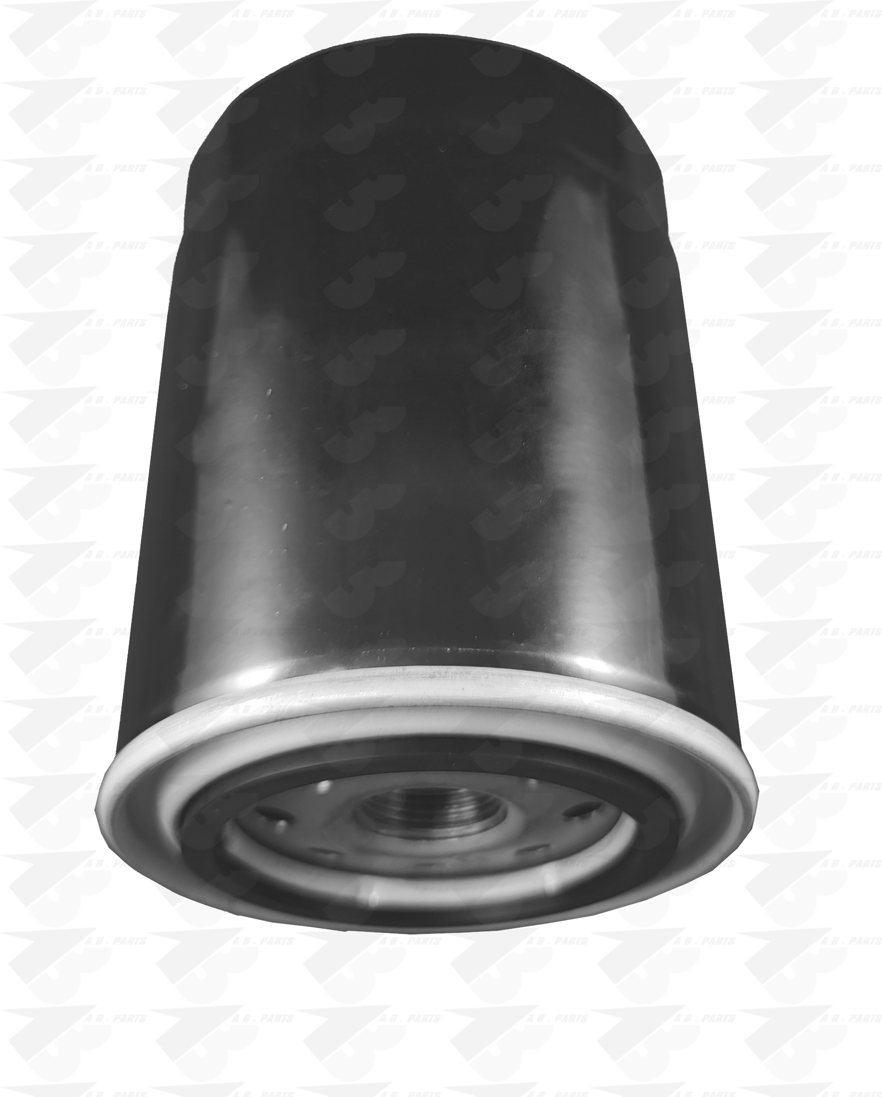 FILTRO Olio DUCATO 02>