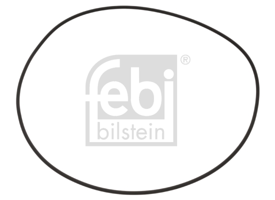 FEBI ANELLO DI TENUTA