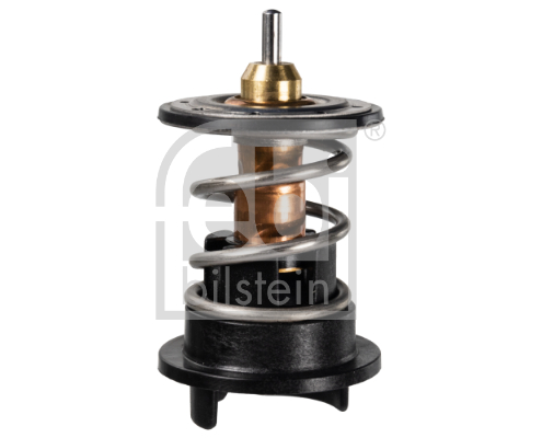 FEBI (33101073) TERMOSTATO