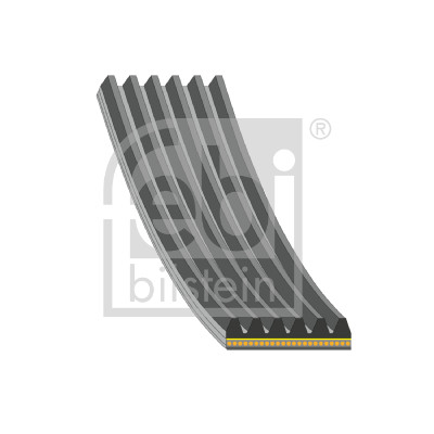 FEBI (33108911) CINGHIA AUSILIARIA