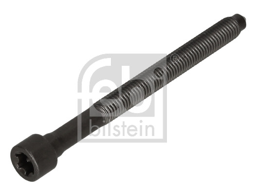 Bullone testata FEBI 184669