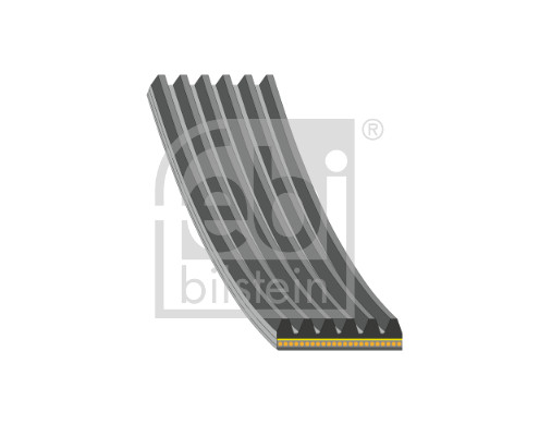 FEBI (33109665) CINGHIA AUSILIARIA