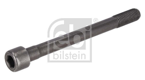 Bullone testata FEBI 194713