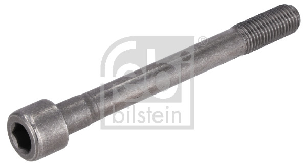 Bullone testata FEBI 194715
