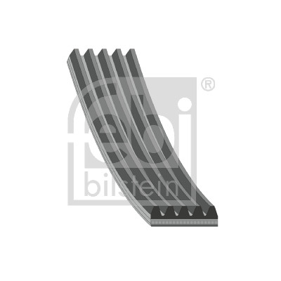 FEBI (10928885) CINGHIA AUSILIARIA