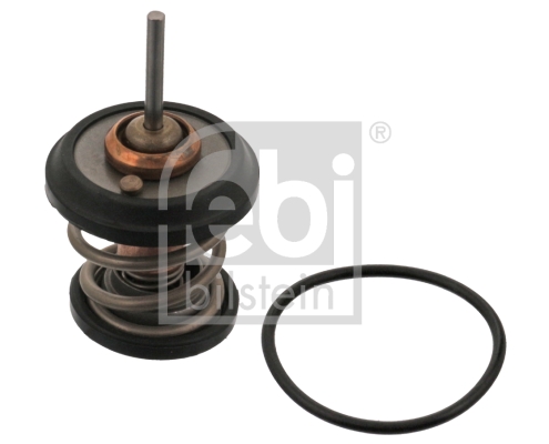 FEBI (30934782) TERMOSTATO