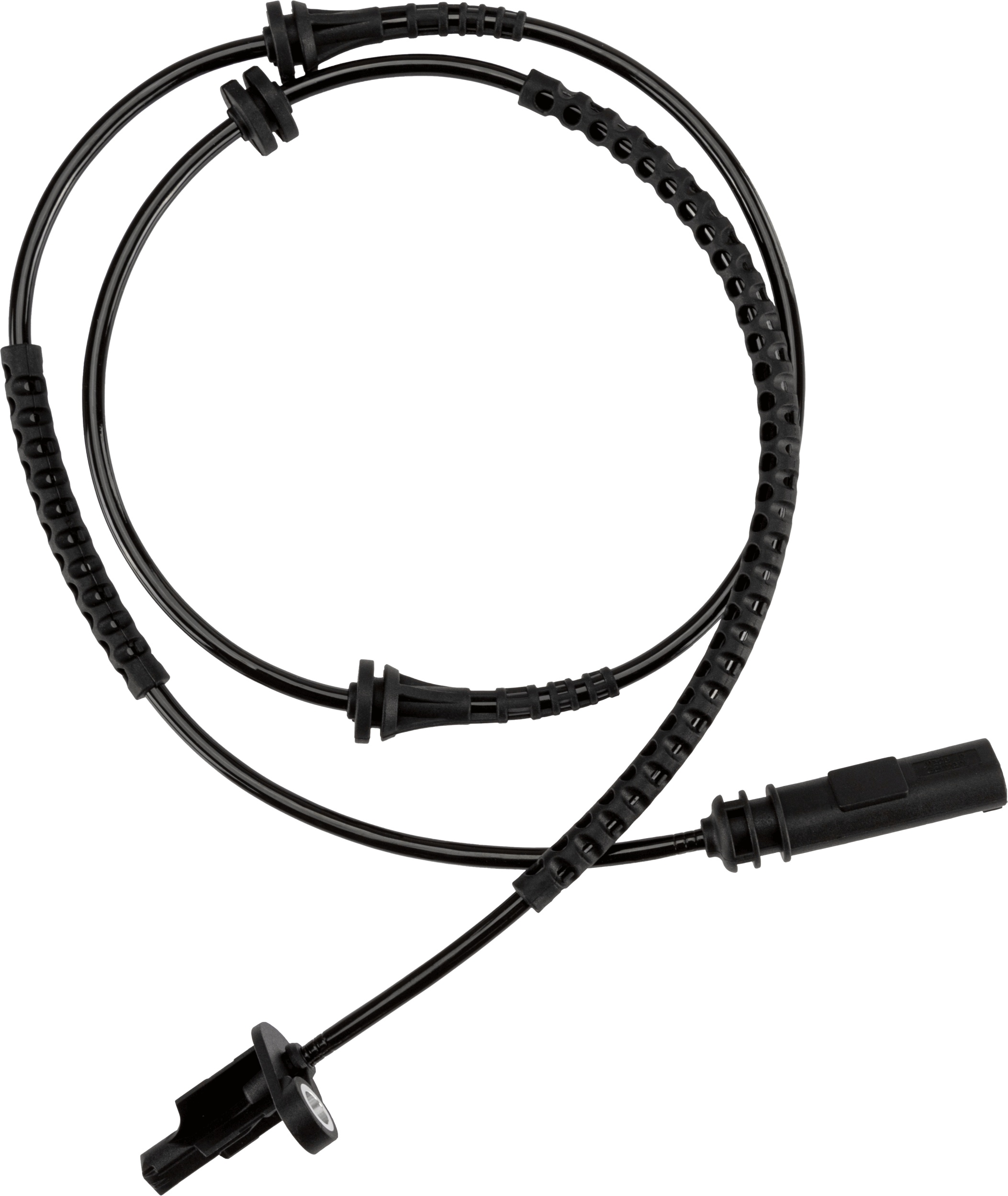 Sensore, n. giri ruota TRW GBS2824