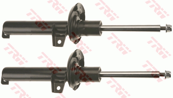 Ammortizzatore TRW JGM1030T