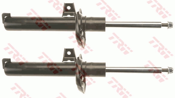 Ammortizzatore TRW JGM1032T