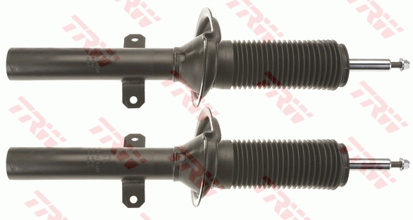 Ammortizzatore TRW JGM1066T